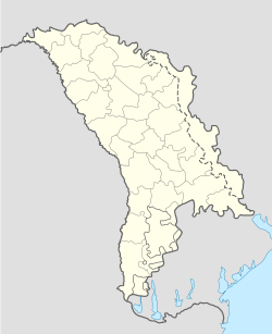 Тыргул-Вертюжень (Молдавия)
