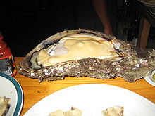 Photo of 2 feet (0.61 m) long open oyster on plate
