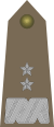 Rank insignia of generał dywizji of the Army of Poland.svg