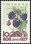 Soviet Union stamp 1964 CPA 3135.jpg