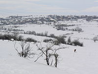 Plakuder-Bulgaria-Winter.jpg