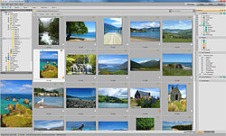 ACDSee Photo Manager.jpg