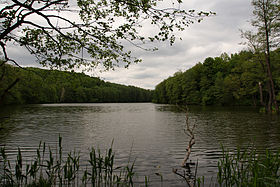 Shelekhov Lake.jpg