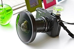 Nikon 1 V1 + Fisheye FC-E9 01.jpg
